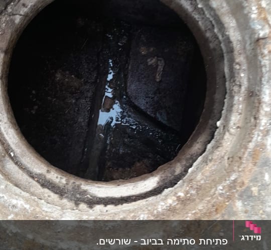 פתח ביוב עם מים בתוכו